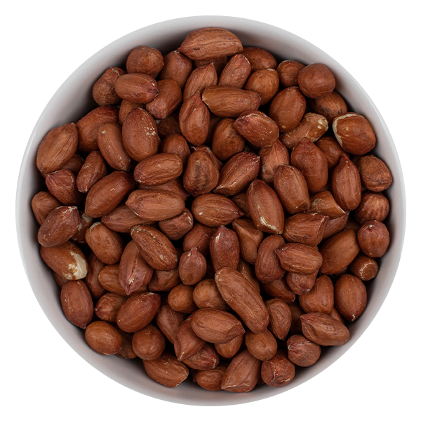 Namaste Export